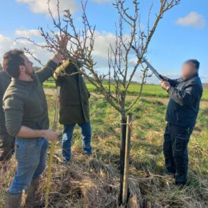 Gaëtan Petitmangin Terre de savoirs avec un groupe en formation taille de fruitiers