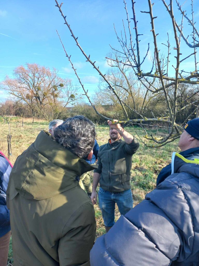 Gaetan petitmangin Terre de Savoirs avec un groupe en formation taille de fruitiers