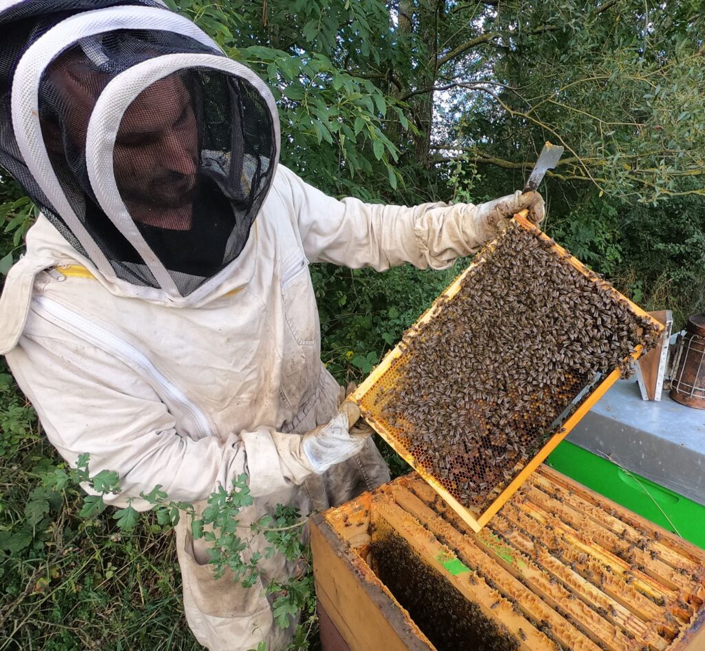Gaetan petitmangin Terre de Savoirs Photo d'une visite de ruche
