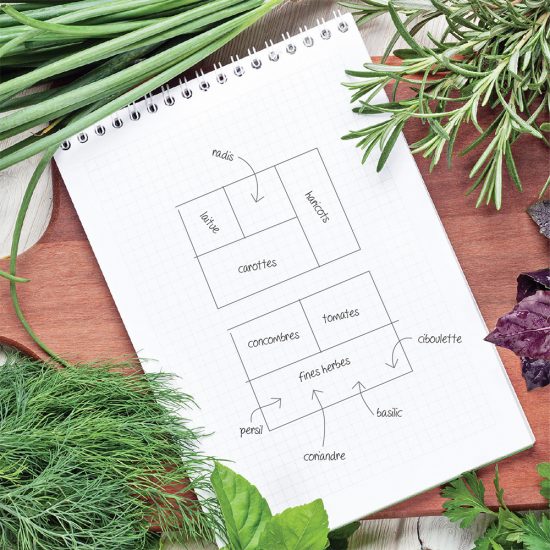 plan de potager